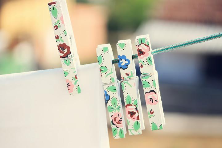 Tardes de verano, lavanda y pequeños visitantes... Tardes de verano, lavanda y pequeños visitantes...