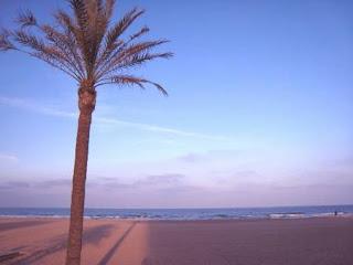 Gandía, referente turístico de España Gandía, referente turístico de España