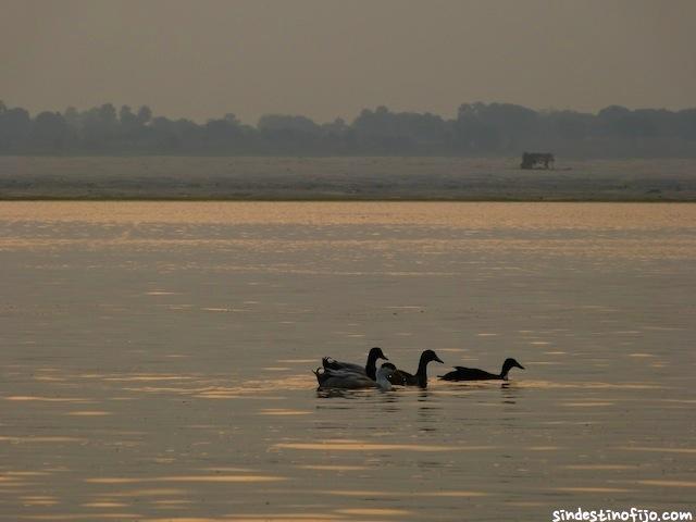 Amanece en el Ganges