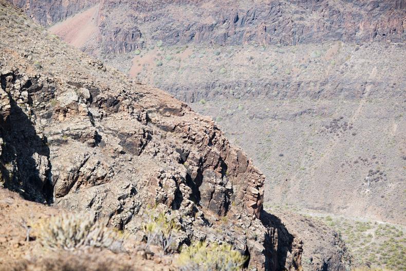 ROCKY MOUNTAIN ROCKY MOUNTAIN