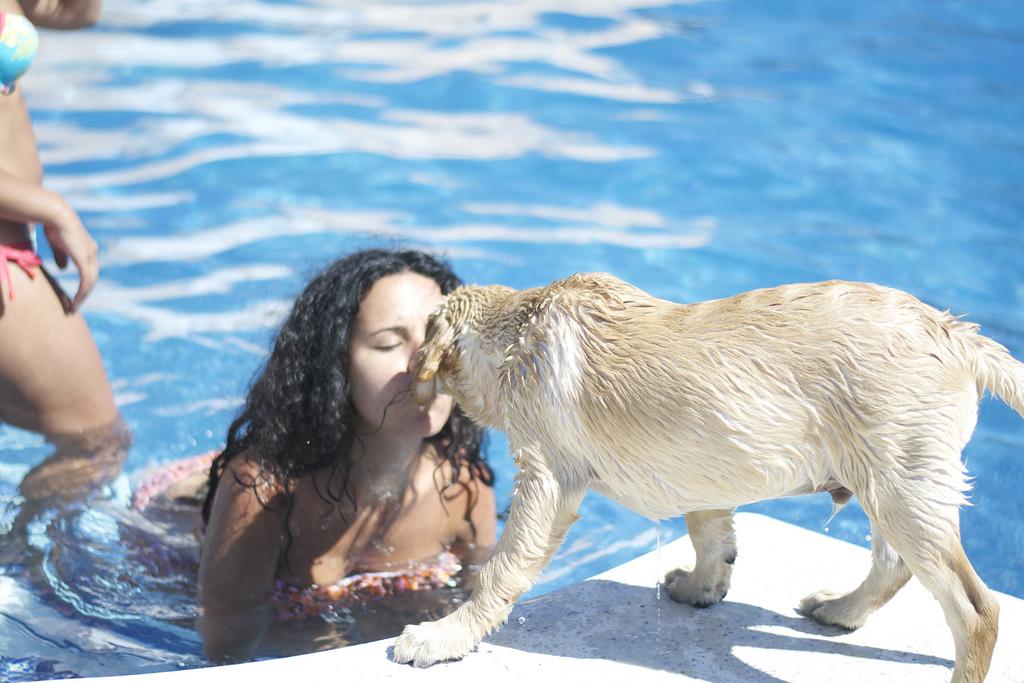Floyd y su primer baño :) DSC_0144