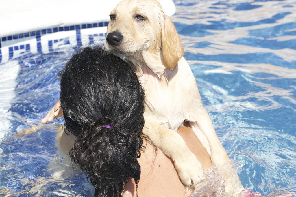 Floyd y su primer baño :) DSC_0173