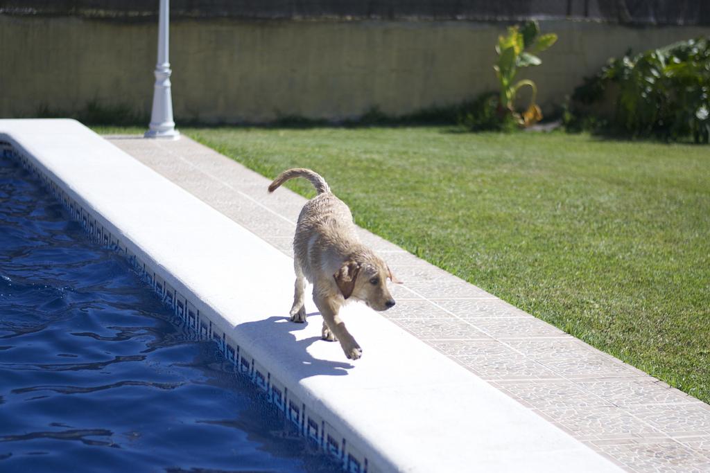 Floyd y su primer baño :) DSC_0152