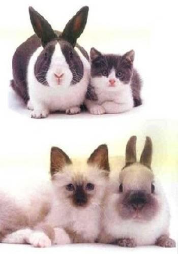 BEWARE OF IDENTITY THEFT THIS EASTER!