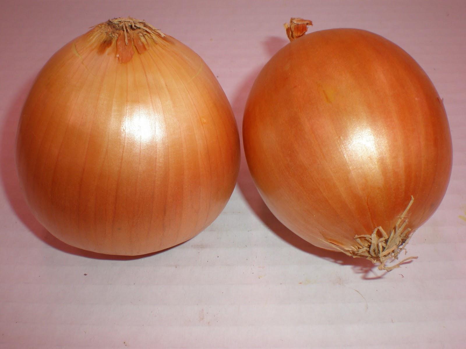 Pudding de Coliflor Pudding de Coliflor