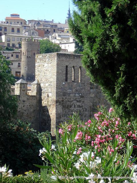 Fuertemente asentada Fuertemente asentada