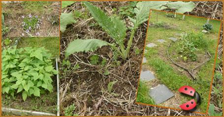 Volveremos en Septiembre Volveremos en Septiembre