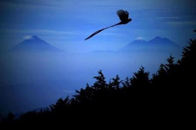 VOLAR, NO ES DECIR ADIÓS