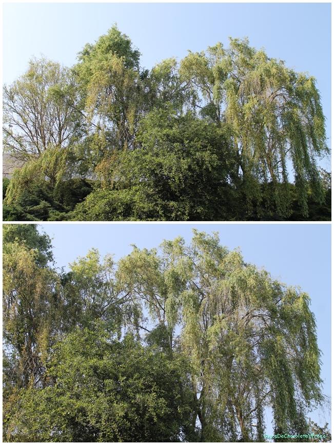 White and Red White and Red