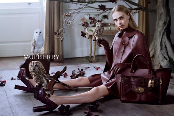 Campañas OI 13/14 Campañas OI 13/14