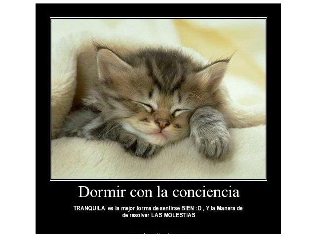 THINGS THAT MAKE ME SMILE...II THINGS THAT MAKE ME SMILE...II