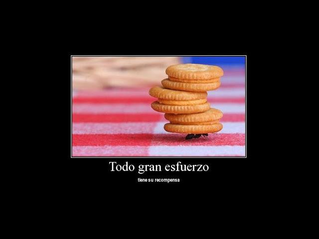 THINGS THAT MAKE ME SMILE...II THINGS THAT MAKE ME SMILE...II