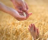 THINGS THAT MAKE ME SMILE...II THINGS THAT MAKE ME SMILE...II