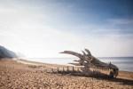 Juego de Tronos se promociona en la playa con un enorme esqueleto Juego de Tronos se promociona en la playa con un enorme esqueleto
