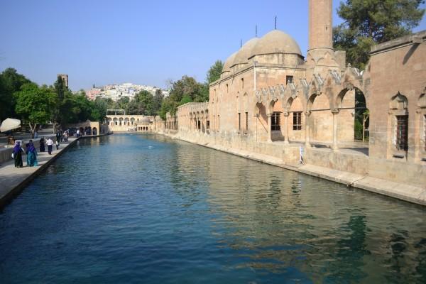 Entre el Tigris y el Éufrates: Mis primeros pasos en Medio Oriente Las piscinas sagradas del Balikligol, SanliUrfa