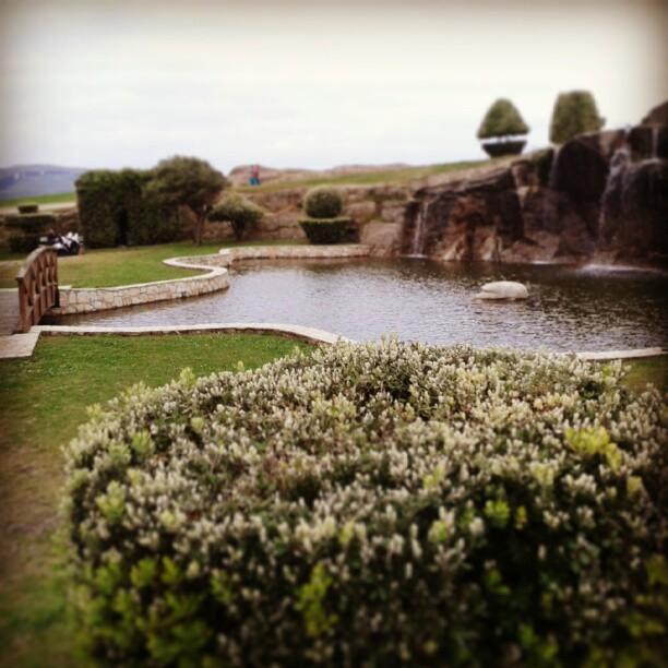 InstaLowCost InstaLowCost