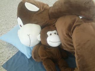 La visita de Leonora, madre de Leo (mascota del Descanser) La visita de Leonora, madre de Leo (mascota del Descanser)