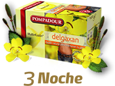 Bikini Plan de Pompadour Bikini Plan de Pompadour