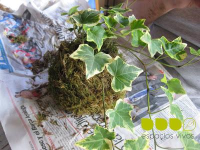 Taller de kokedama con algún contratiempo pero con final feliz