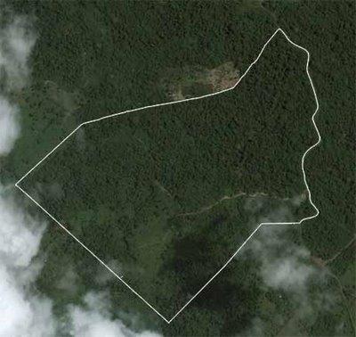 Selva Encantada: una eco-comunidad concebida por depredadores inmobiliarios Selva Encantada: una eco-comunidad concebida por depredadores inmobiliarios