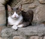 IMG_0789 Veraniega 01: ANDANDO.