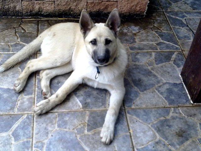 ¿VERDAD QUE ES GUAPÍSIMA? ¿VERDAD QUE ES GUAPÍSIMA?