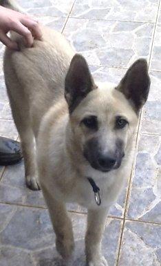 ¿VERDAD QUE ES GUAPÍSIMA? ¿VERDAD QUE ES GUAPÍSIMA?