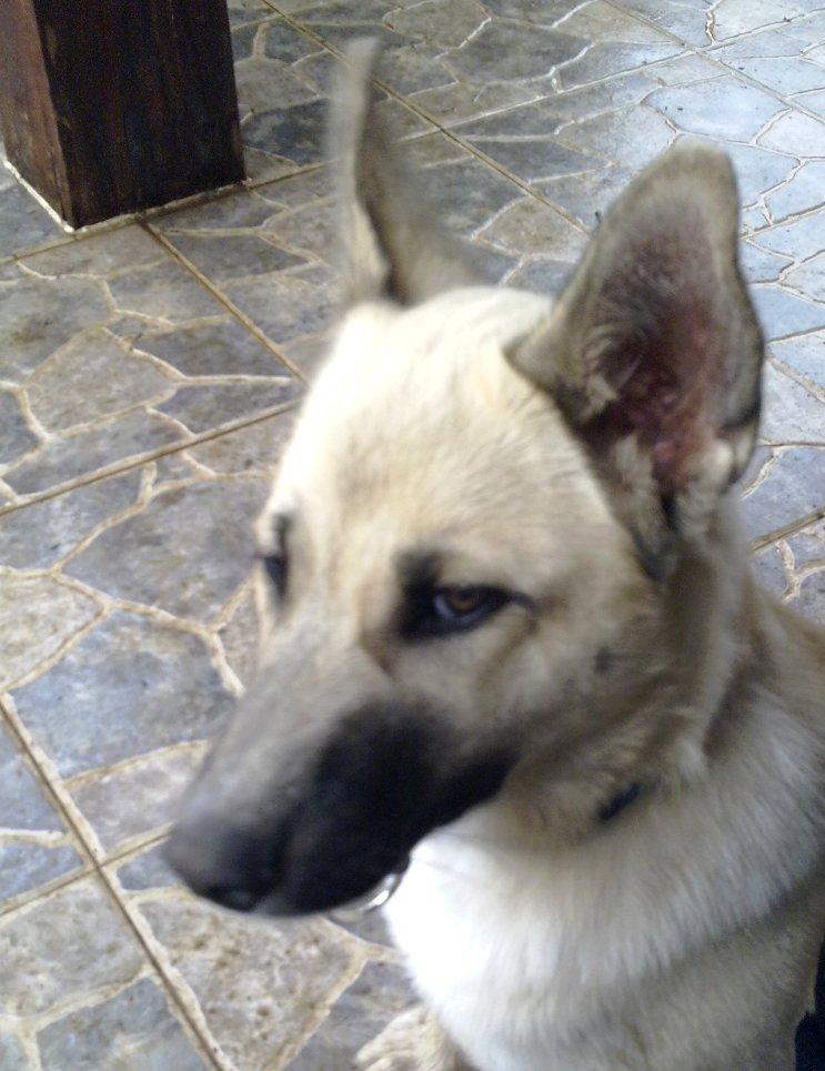 ¿VERDAD QUE ES GUAPÍSIMA? ¿VERDAD QUE ES GUAPÍSIMA?