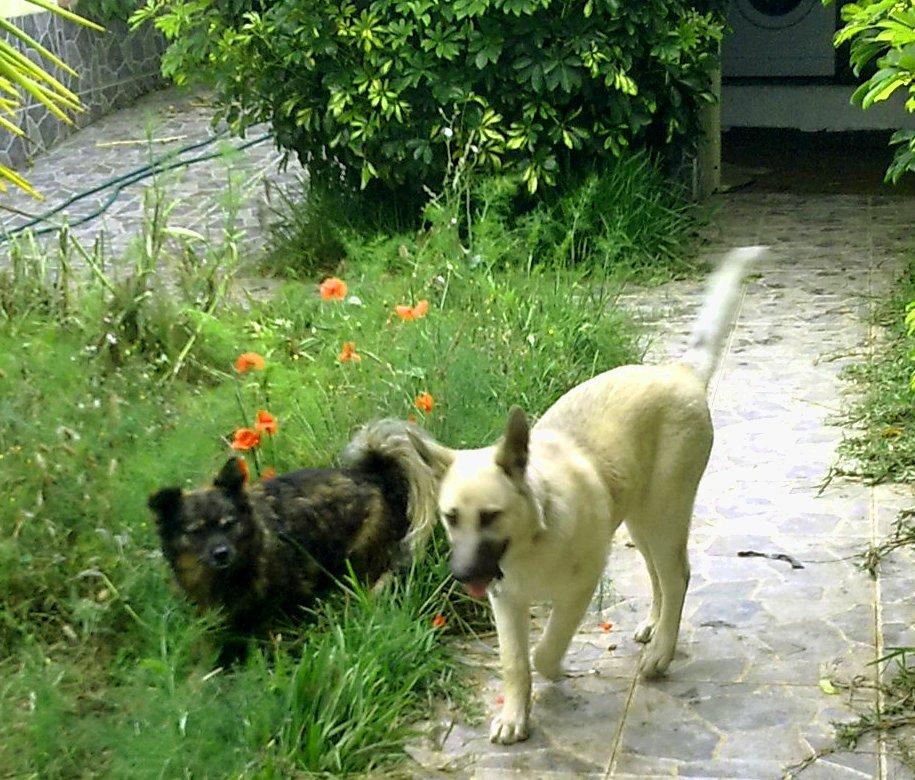 ¿VERDAD QUE ES GUAPÍSIMA? ¿VERDAD QUE ES GUAPÍSIMA?