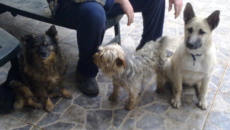 ¿VERDAD QUE ES GUAPÍSIMA? ¿VERDAD QUE ES GUAPÍSIMA?