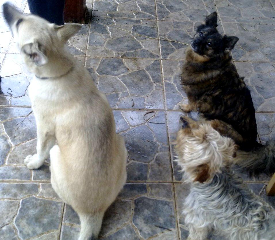 ¿VERDAD QUE ES GUAPÍSIMA? ¿VERDAD QUE ES GUAPÍSIMA?