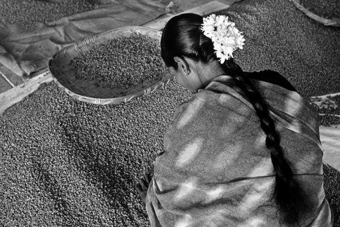 Fotografía de Café / Sebastião Salgado