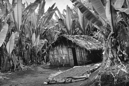 Fotografía de Café / Sebastião Salgado