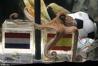 Pulpo fiction Pulpo fiction