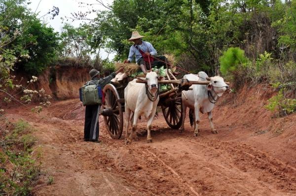 DSC_0506 Treking Kalaw – Inle lake: Día 1