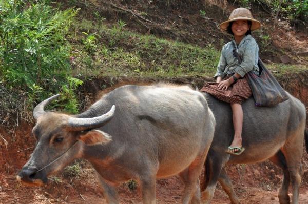 DSC_0490 Treking Kalaw – Inle lake: Día 1