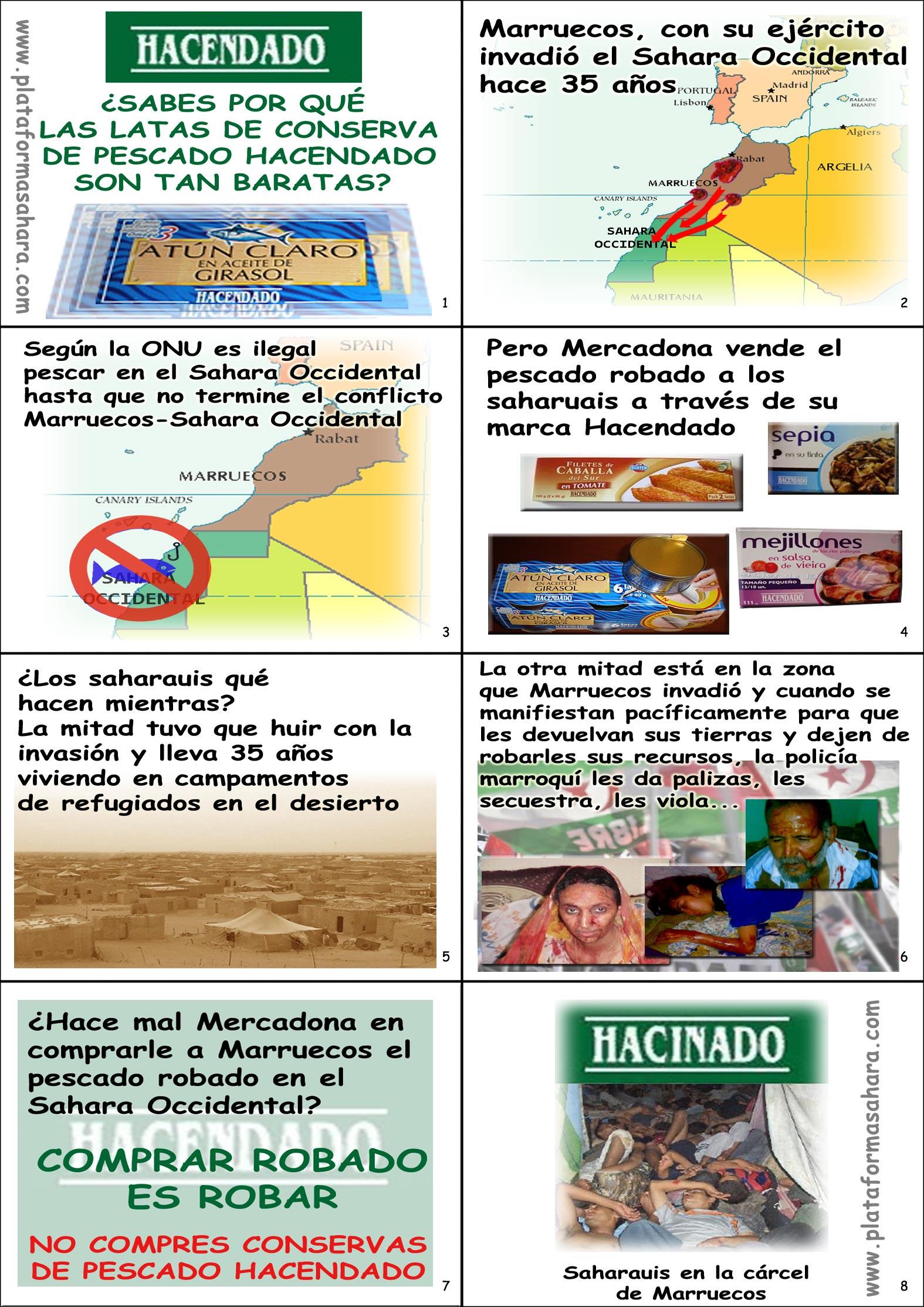Campaña de denuncia en Mercadona Campaña de denuncia en Mercadona