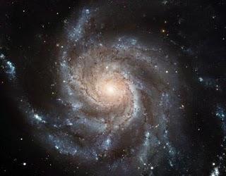 Fotografía de la gigantesca Galaxia del Molinete