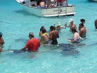 Nadar con rayas, Islas Cayman Nadar con rayas, Islas Cayman