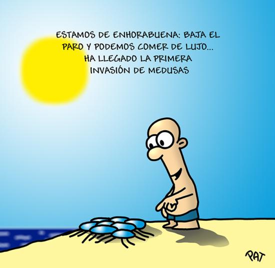 Nuestras amigas, las medusas (2a parte) Nuestras amigas, las medusas (2a parte)