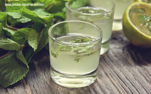 Chupito de gelatina de mojito clásico con menta