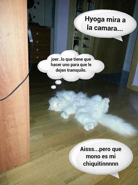 Estamos tan Agustito V. Posando... estamos tan agustito