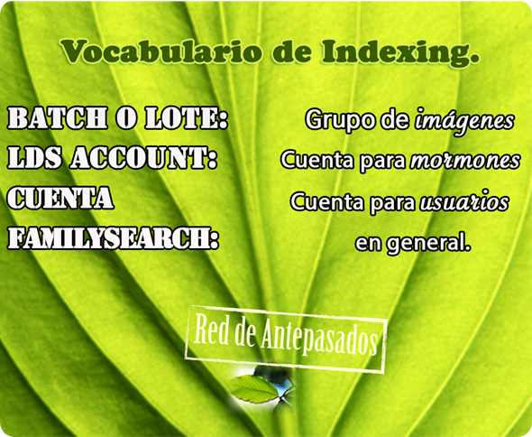 vocabulario vocabulario