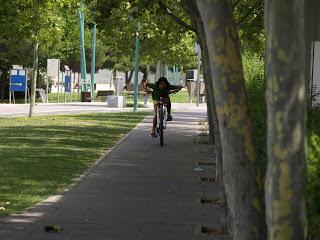 SERTRI . Zaragoza. Triatlón de la Mujer. SERTRI . Zaragoza. Triatlón de la Mujer.