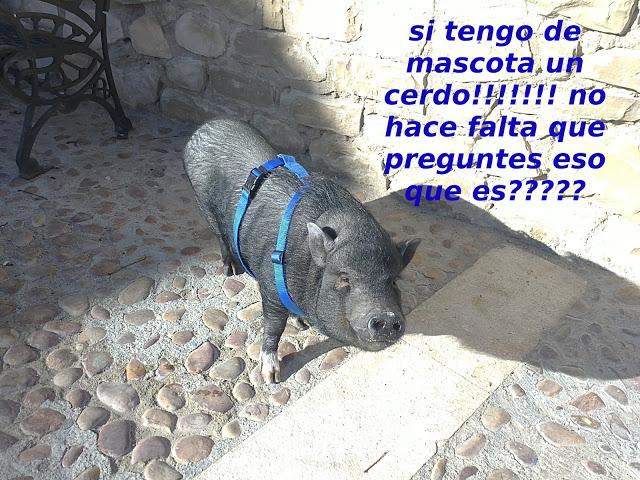 kero cerdo vietnamita