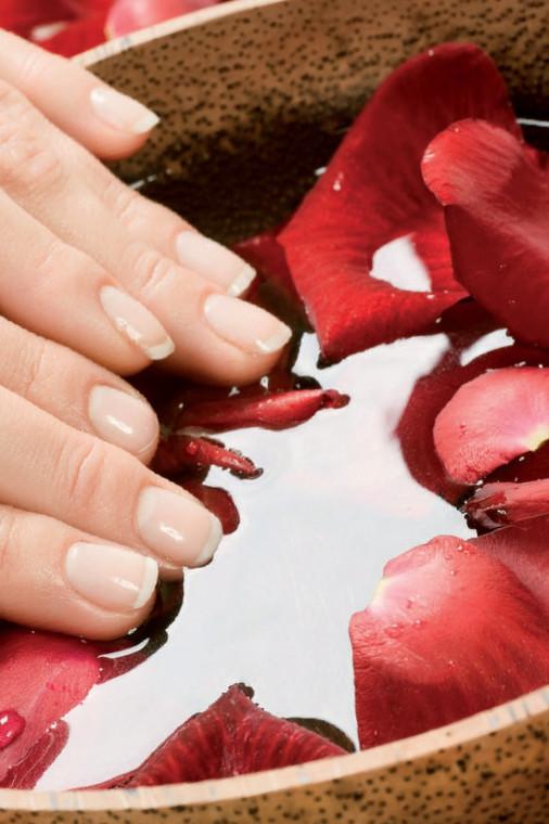 flores de bach flores de bach