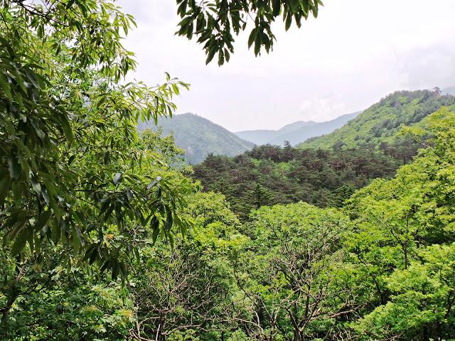 Parque Nacional de Seoraksan y Sokcho. Corea del Sur