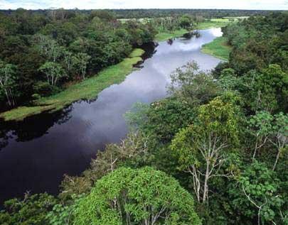 El Amazonas y el cambio climático