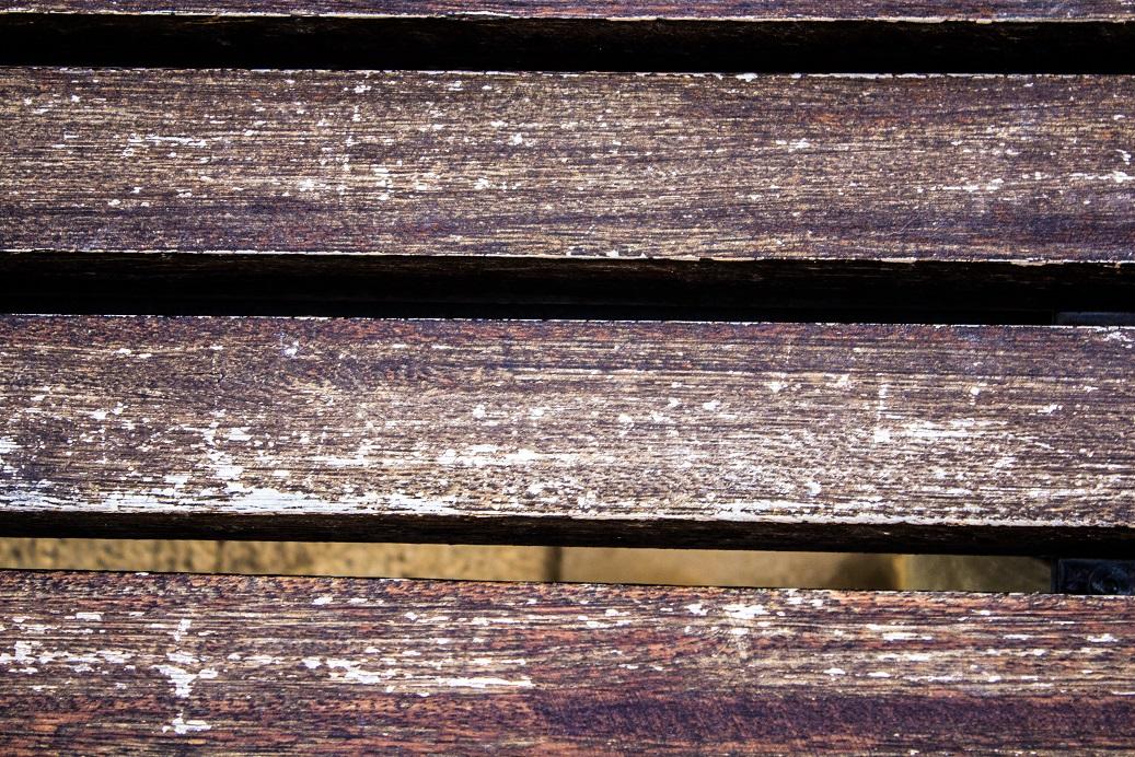 *The floral print* *The floral print*