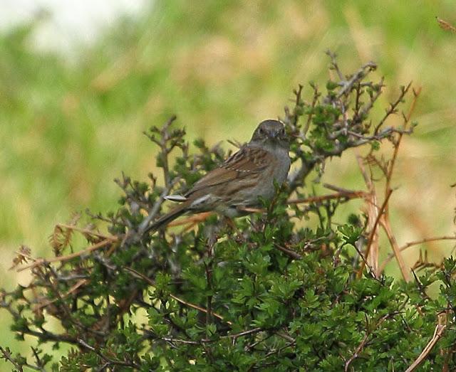 UNAS OBSERVACIONES DEL ULTIMO MES UNAS OBSERVACIONES DEL ULTIMO MES
